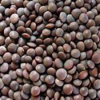 Sabut/Whole Black Masoor Dal Loose 500g