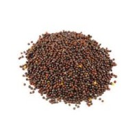 Black Mustard Whole (Kali Sarso) 100g