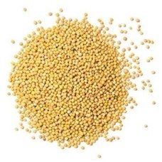 Yellow Mustard Whole (Pili Sarso) 100g